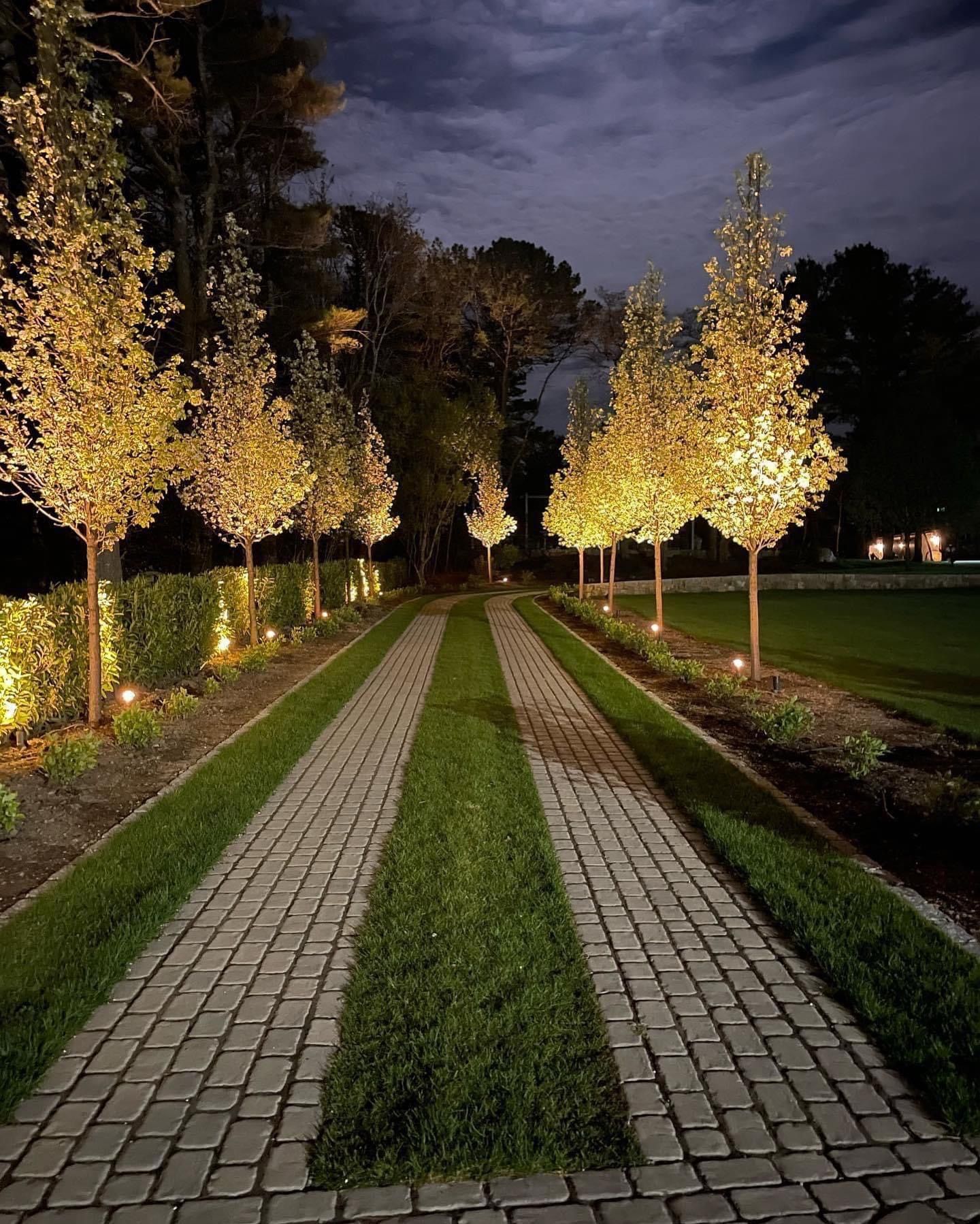 A stone-paved driveway lined with illuminated, narrow-canopy trees against a dark night sky.