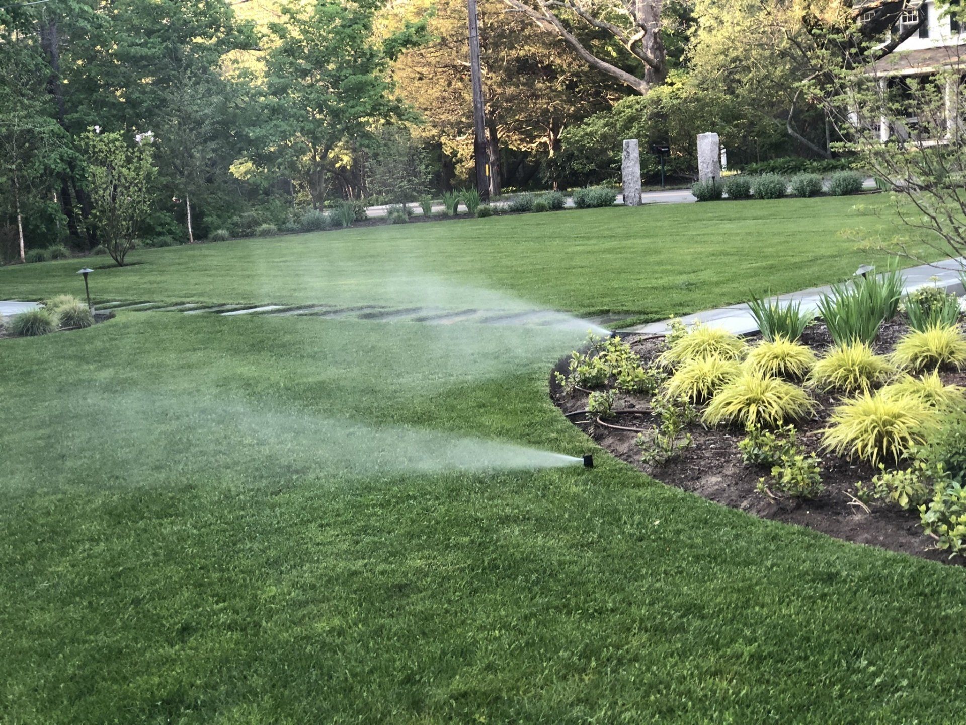 A lawn sprinkler sprays a fine mist of water across a vibrant green backyard next to a garden bed with yellow plants.