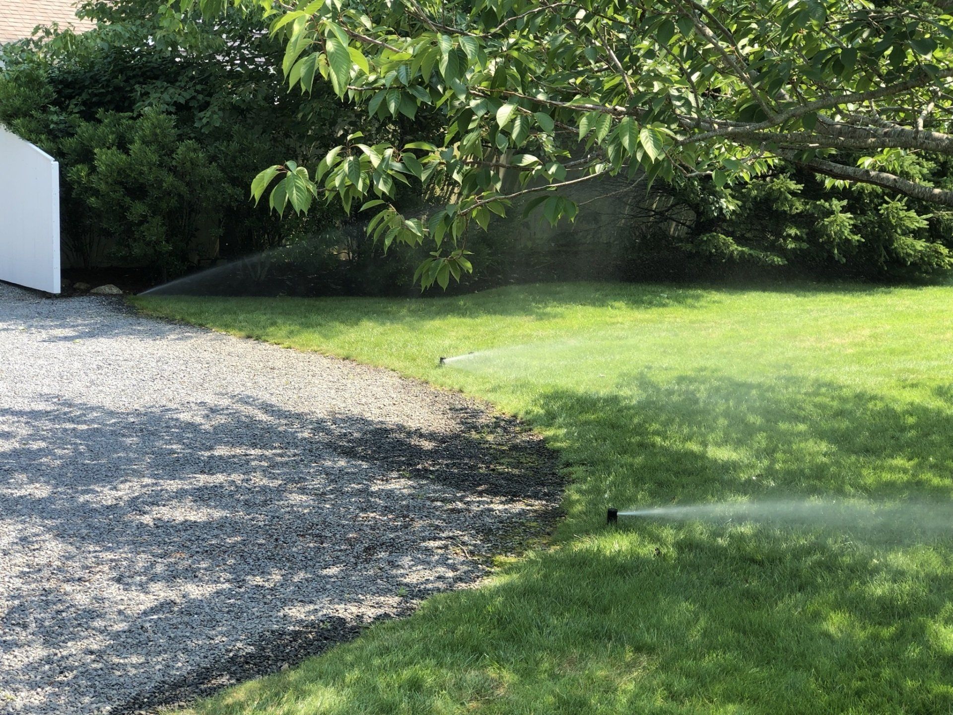 A sprinkler waters a green lawn along the edge of a gravel driveway beneath the shade of trees.