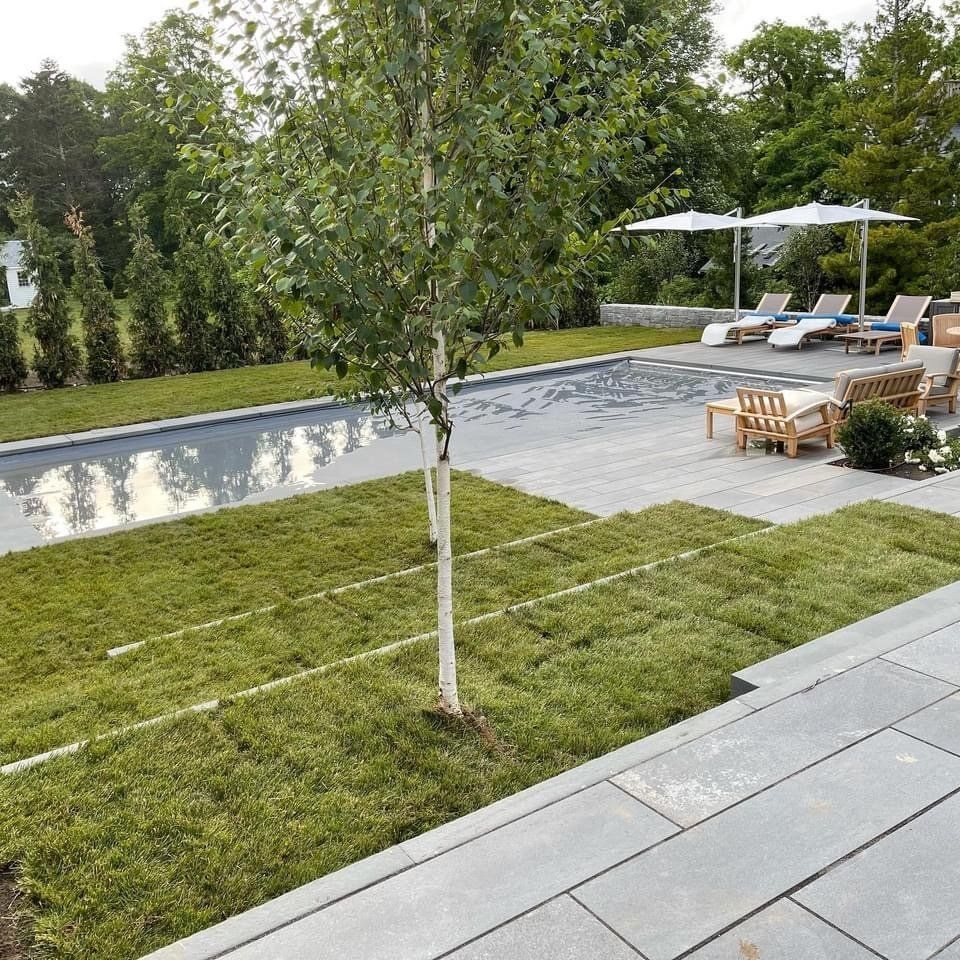 A modern rectangular swimming pool with stone patio, lounge chairs, umbrellas, and a small tree in a grassy yard.