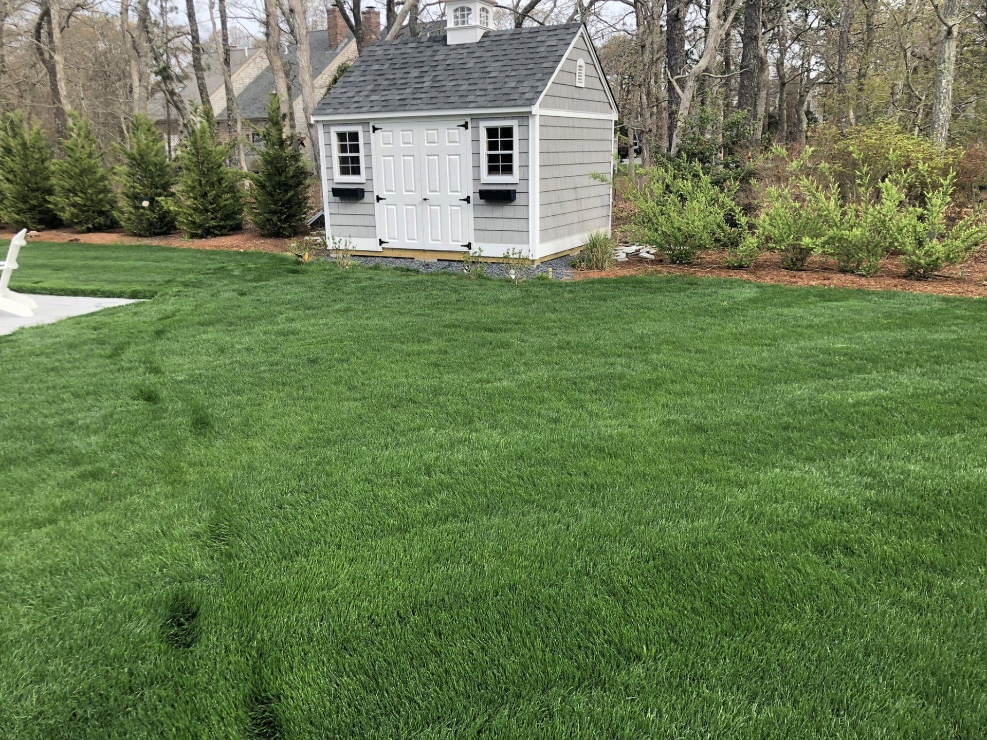 A gray shed with white trim and double doors sits in a lush green backyard, surrounded by trees and shrubs.