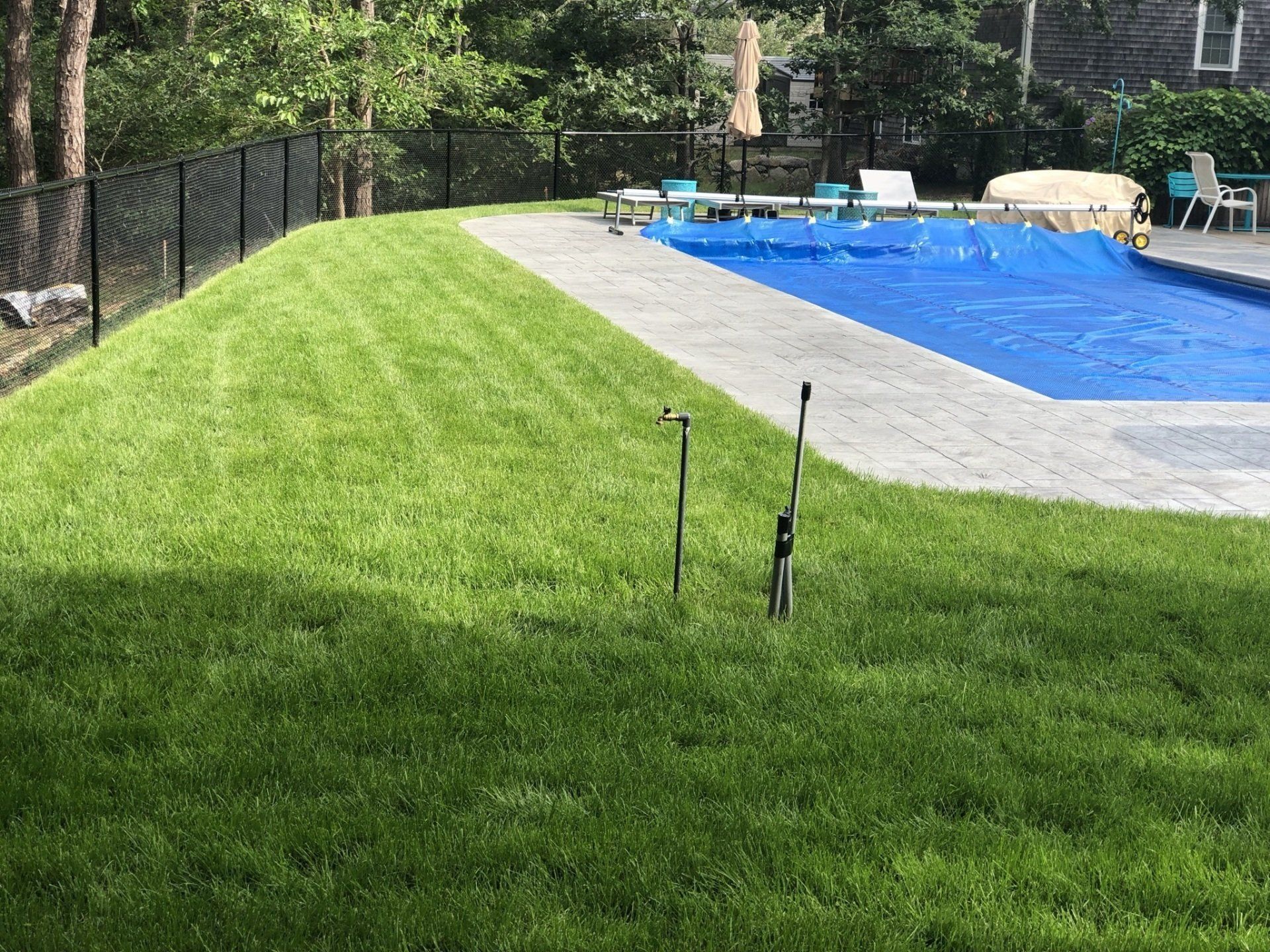 A mowed green lawn borders a pool covered with a blue tarp, enclosed by a black chain-link fence in a backyard.
