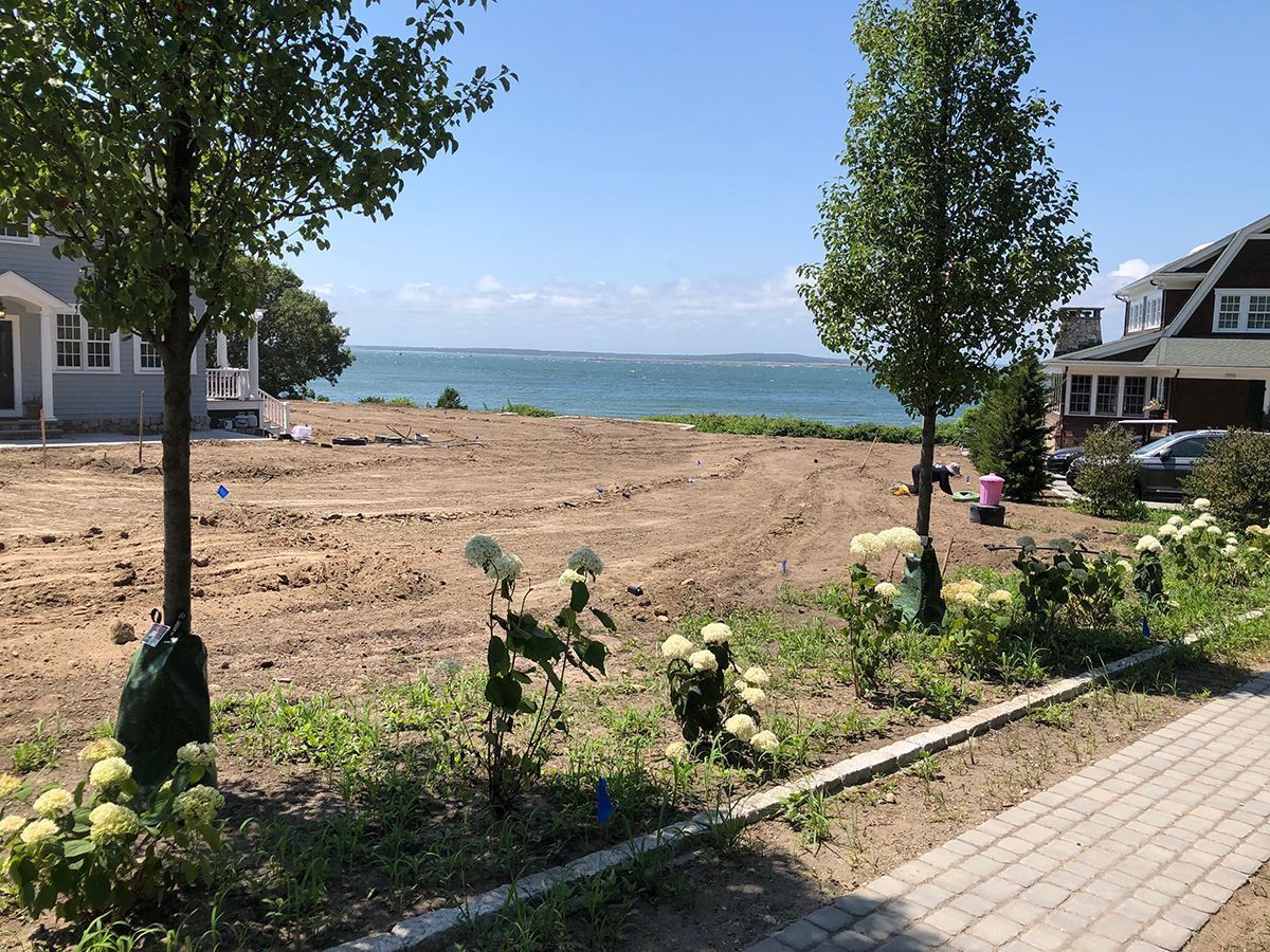 A waterfront yard undergoing landscaping with bare soil, young trees, and flower bushes beside a stone walkway.