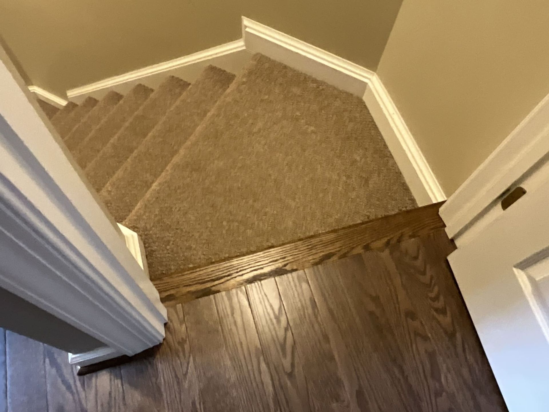 A staircase with a carpeted staircase and a wooden floor.