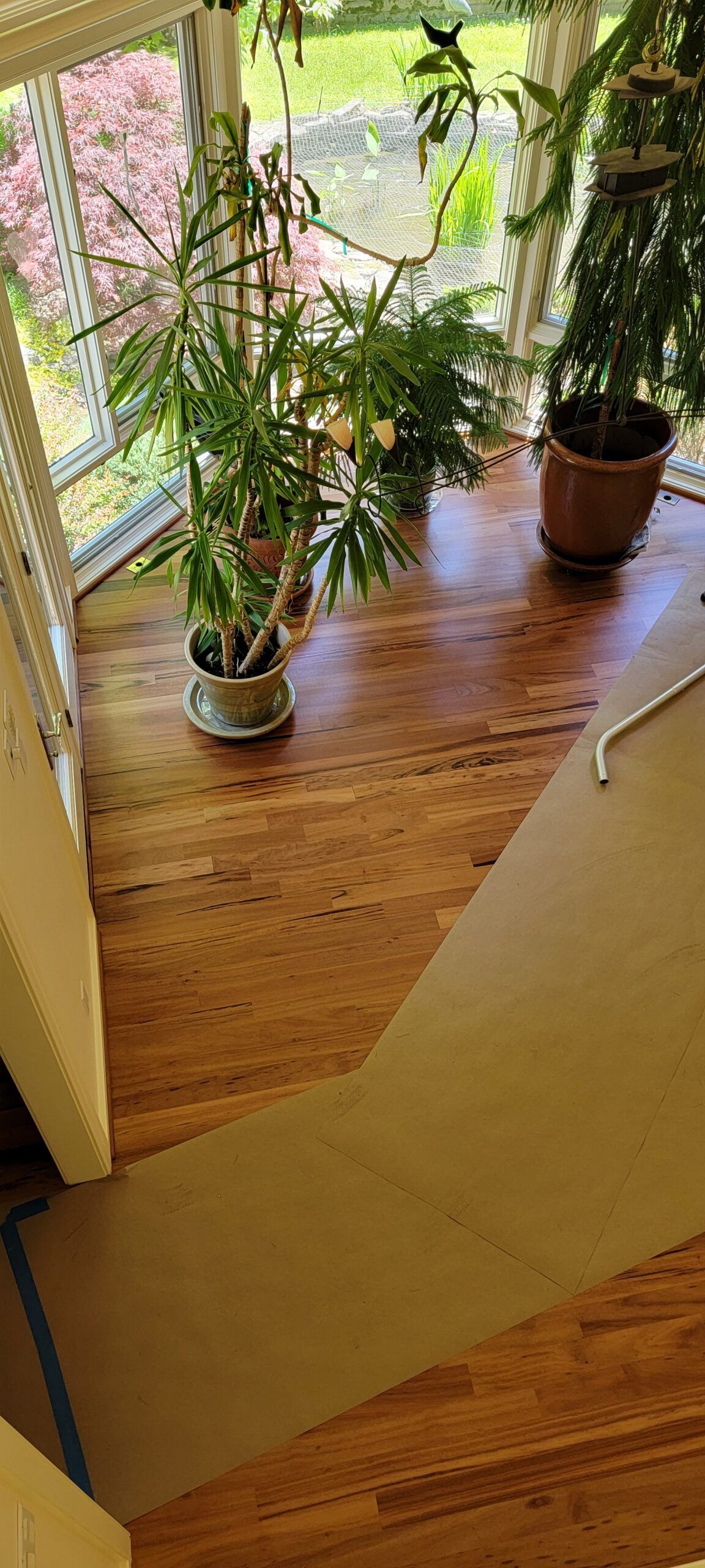 A wooden floor with potted plants on it next to a window.
