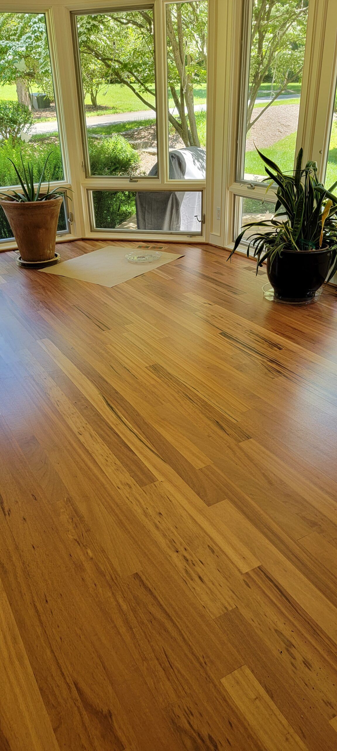 A room with a wooden floor and a potted plant in front of a window.