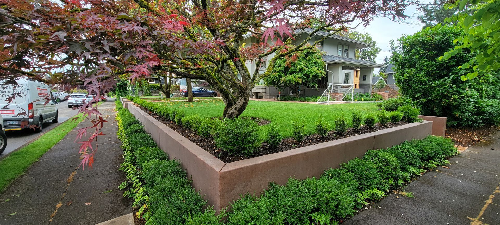 Tree-lined sidewalk beside a brown raised planter with shrubs, near a house on a rainy street
