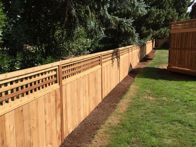 Wooden privacy fence along a grassy backyard beside tall trees