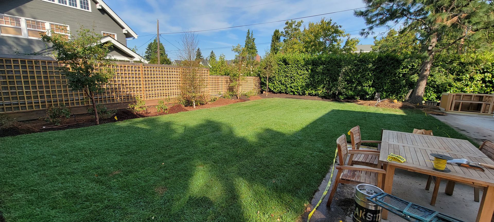 Backyard lawn with wooden fence, trees, and patio table in bright sunlight
