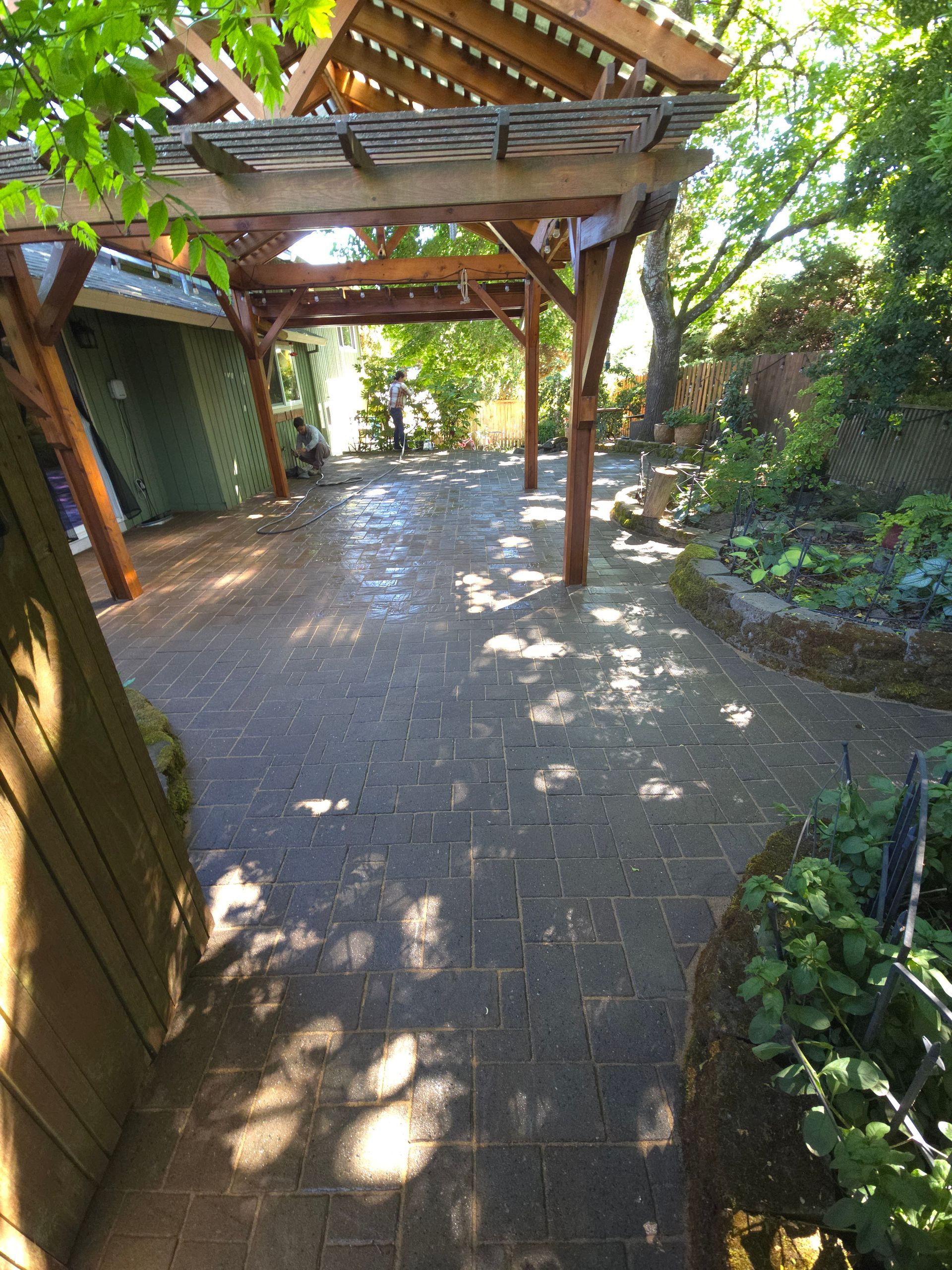 Sunlit stone patio with a wooden pergola, garden plants, and dappled shadows