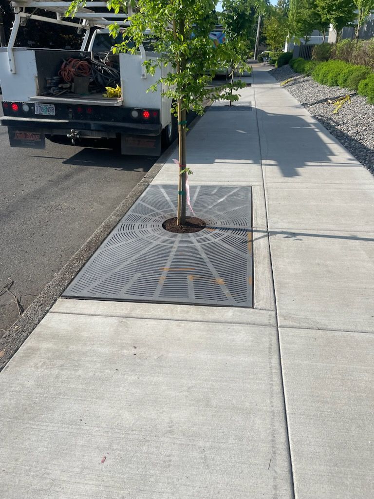 Sidewalk with a young street tree in a metal grate beside a parked utility truck and roadside curb.