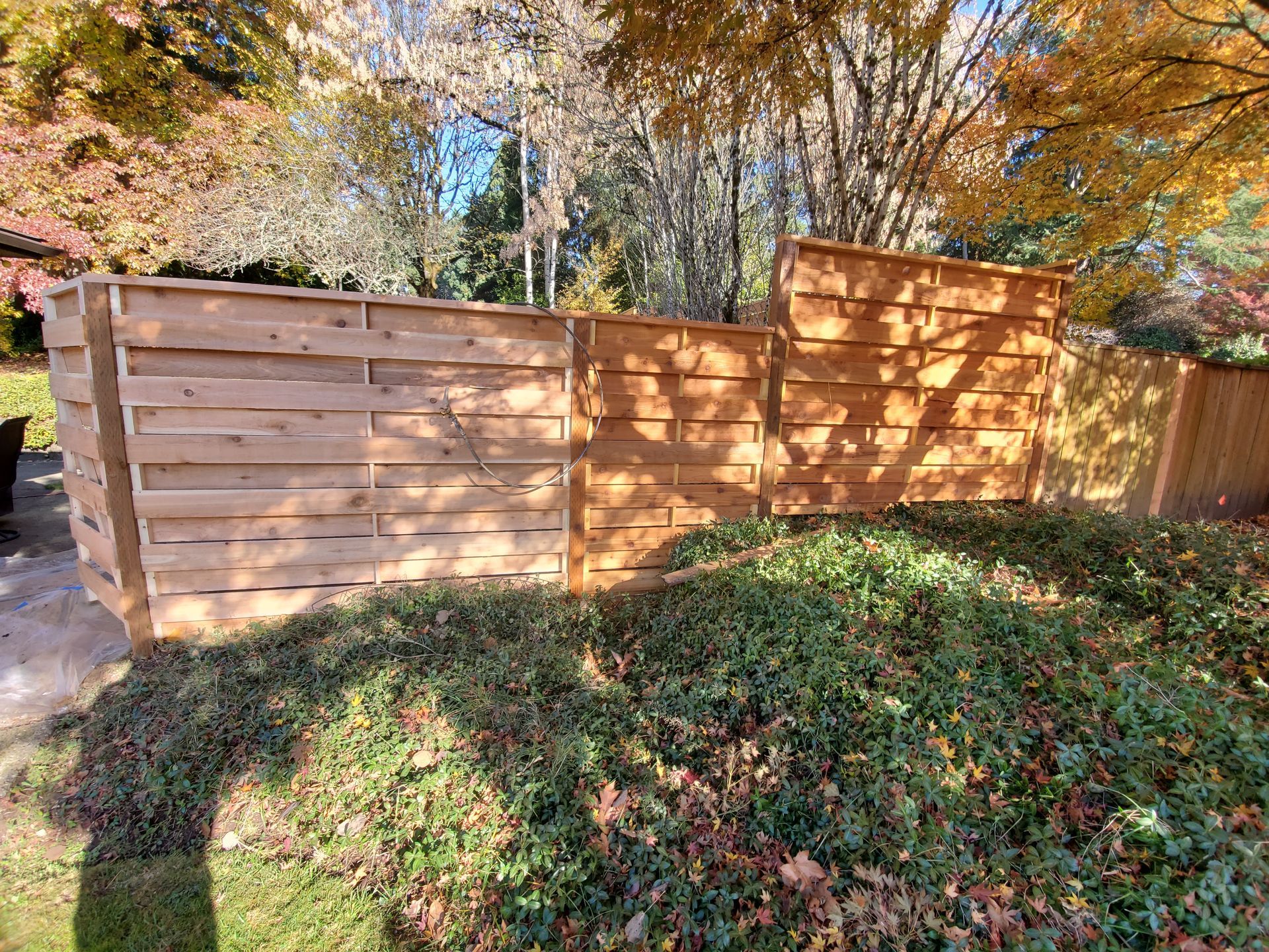 Wooden backyard fence with autumn trees and dense ground cover in front
