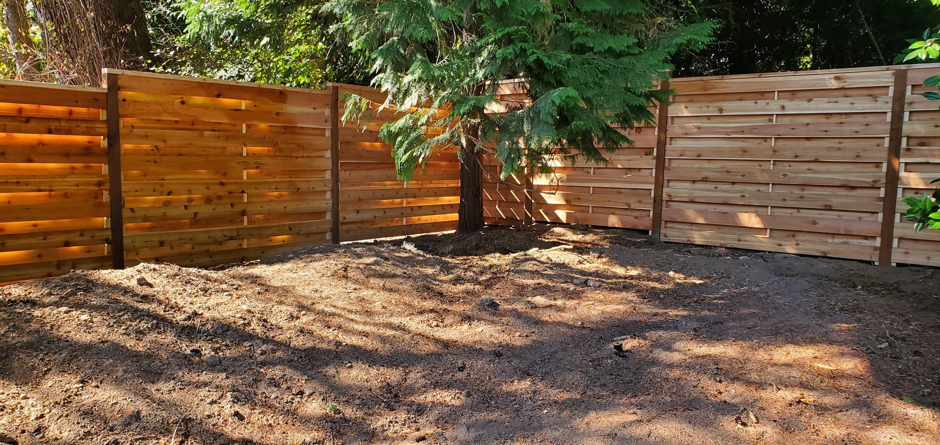 Wooden fenced backyard with a tree casting shade over a dirt and leaf-covered ground