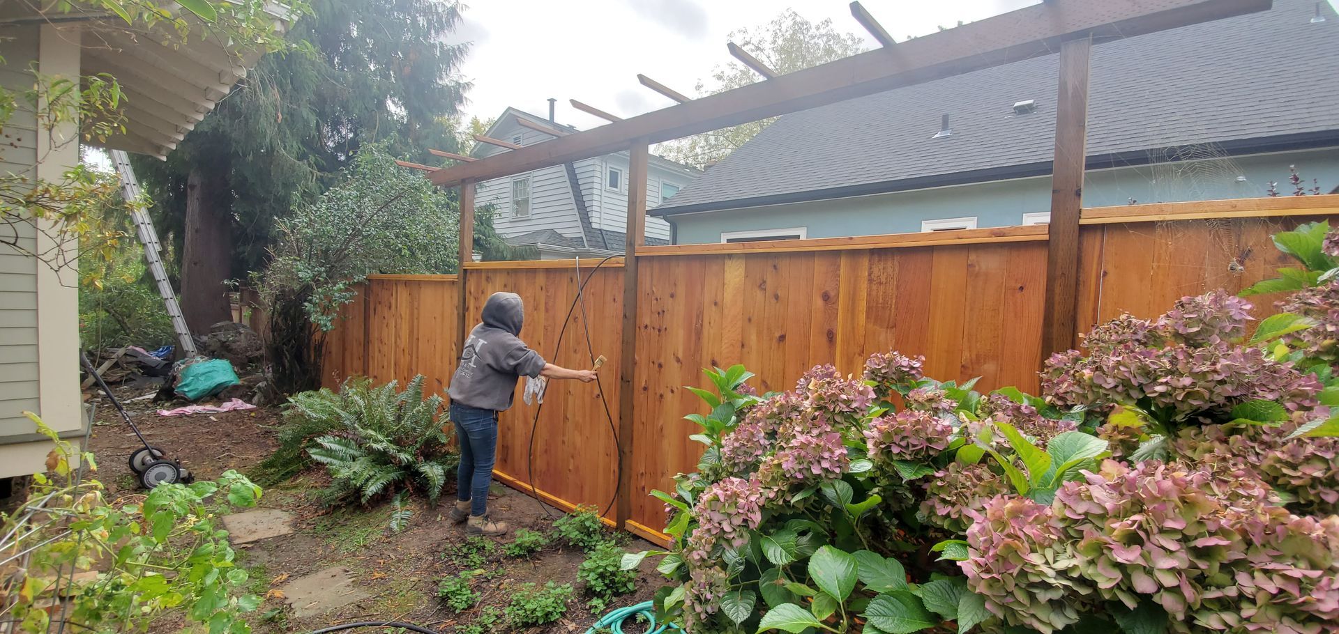 Person in a hooded jacket washing a wooden fence in a garden with shrubs and flowers.