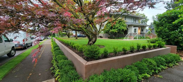 Tree-lined residential corner with pink retaining wall, shrubs, and a sidewalk along a quiet street