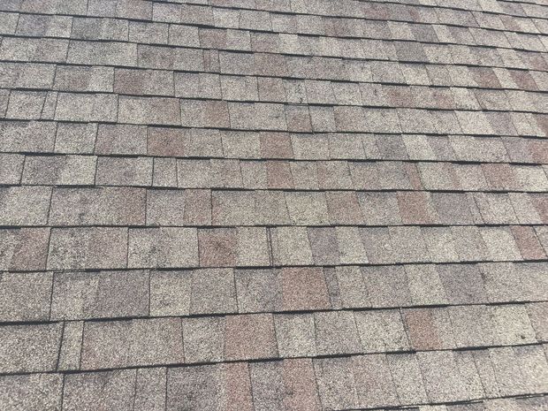 Close-up of a gray-brown asphalt shingle roof surface