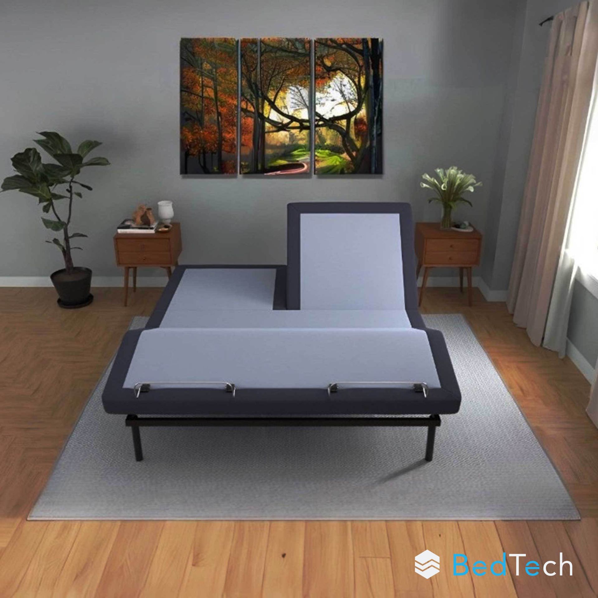 Living room with a gray adjustable bed, plants, wall art, and sunlight from a window