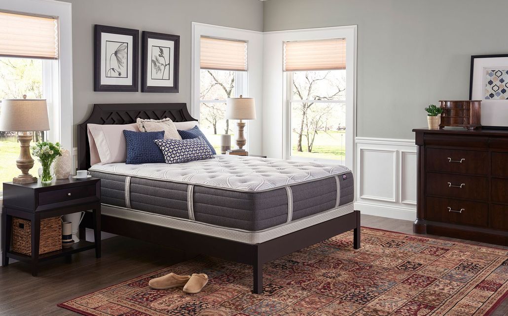 Modern bedroom with dark wood bed, nightstands, dresser, and patterned rug