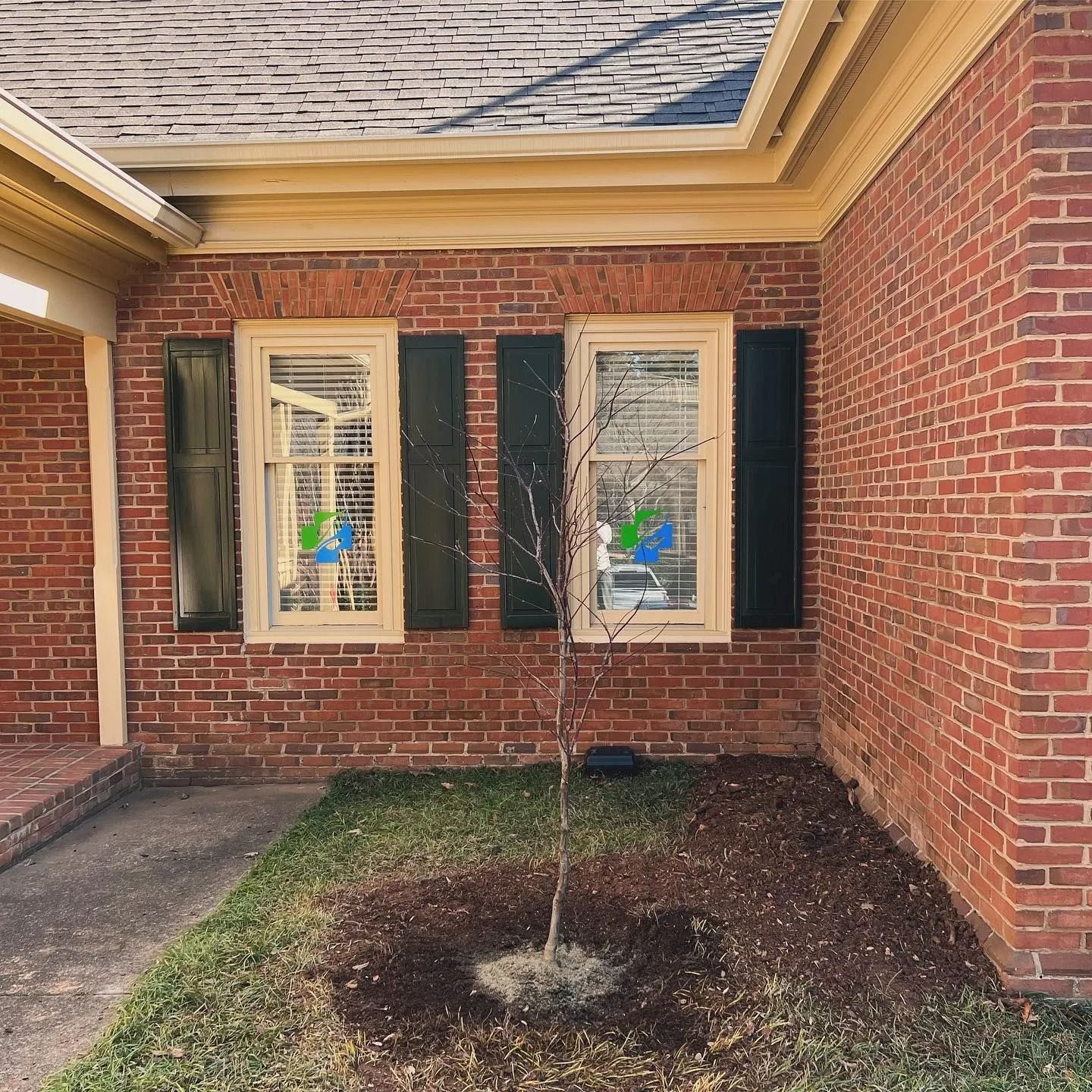 Brick building with two windows and a small tree in front. Black shutters and beige trim.
