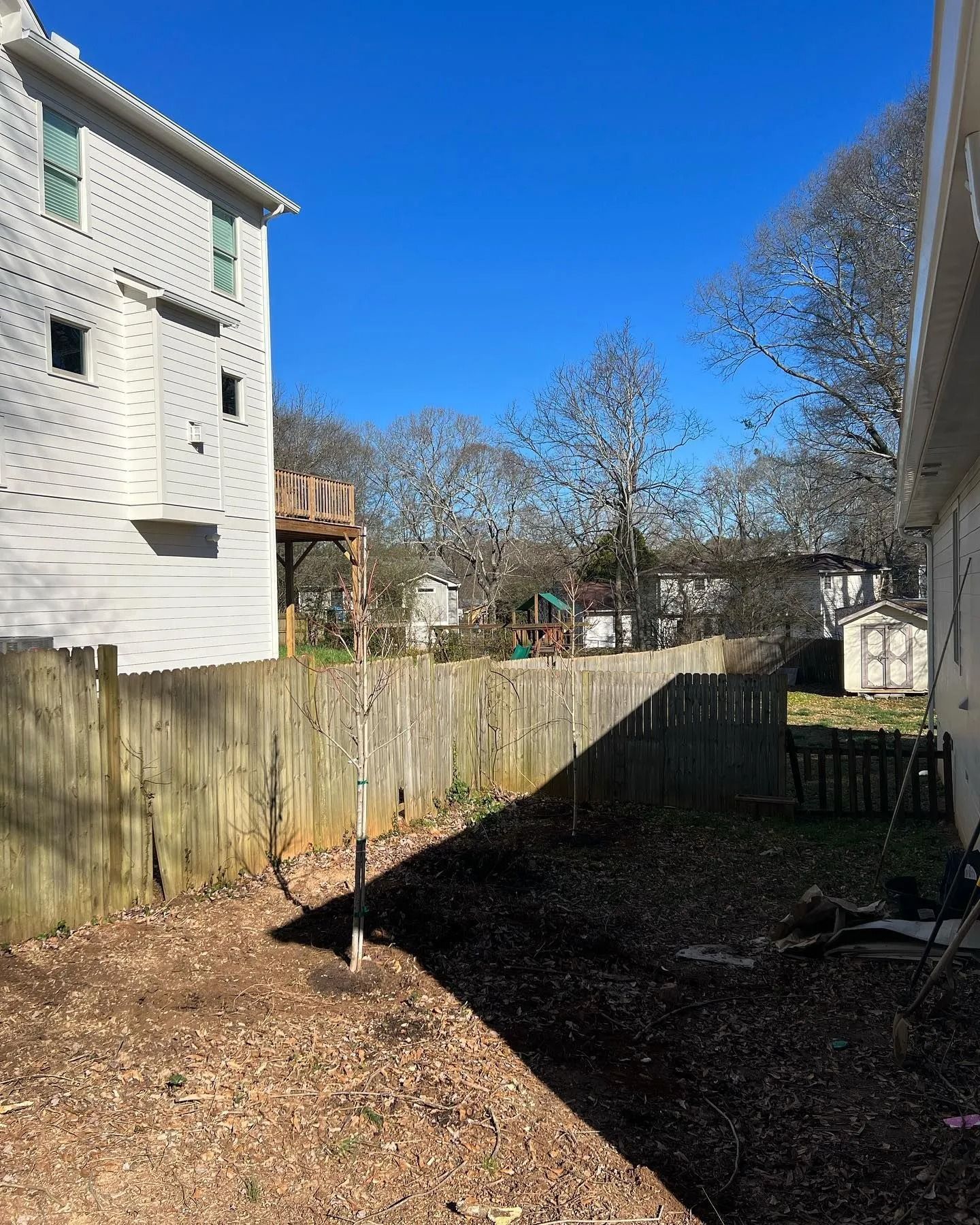 Backyard with wooden fence, trees, and two-story house under a clear blue sky.