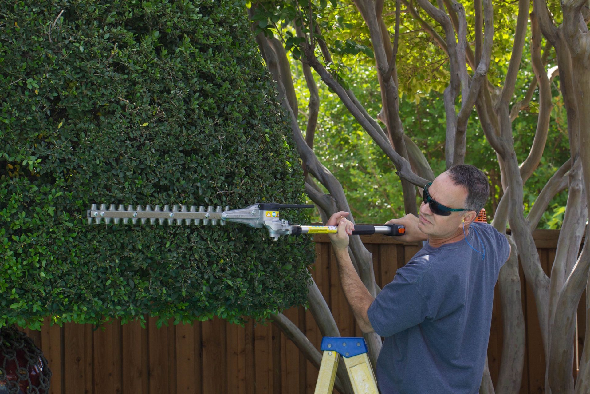 Man trimming a hedge with an extended electric hedge trimmer outdoors.