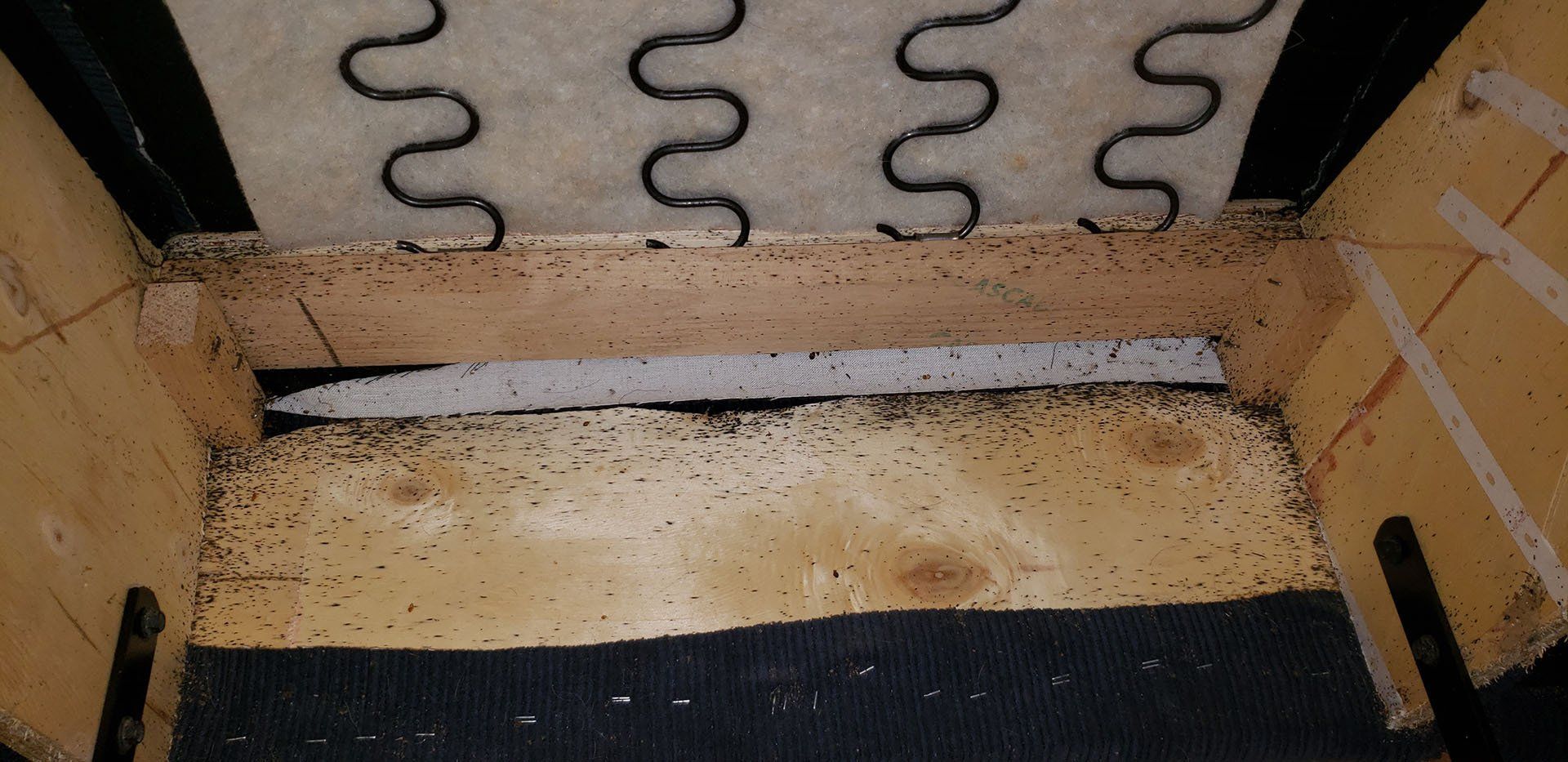 Bed bugs under the recliner