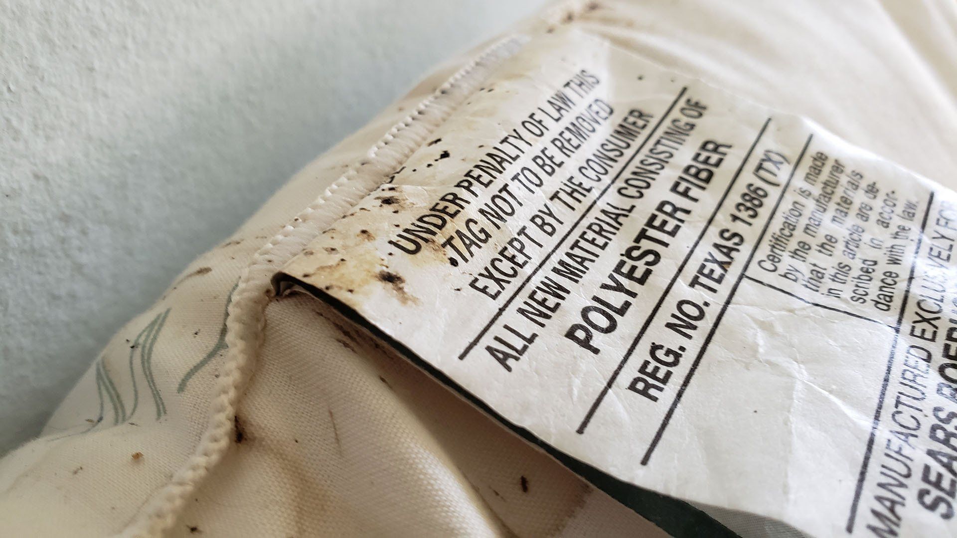 Bed bugs on mattress tag