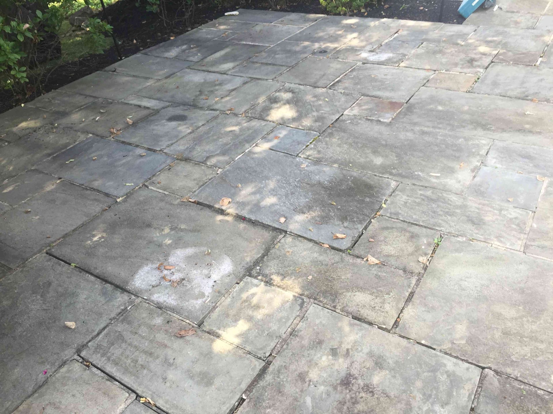 A stone patio made of various grey, rectangular slabs with some light surface discoloration and scattered leaves.