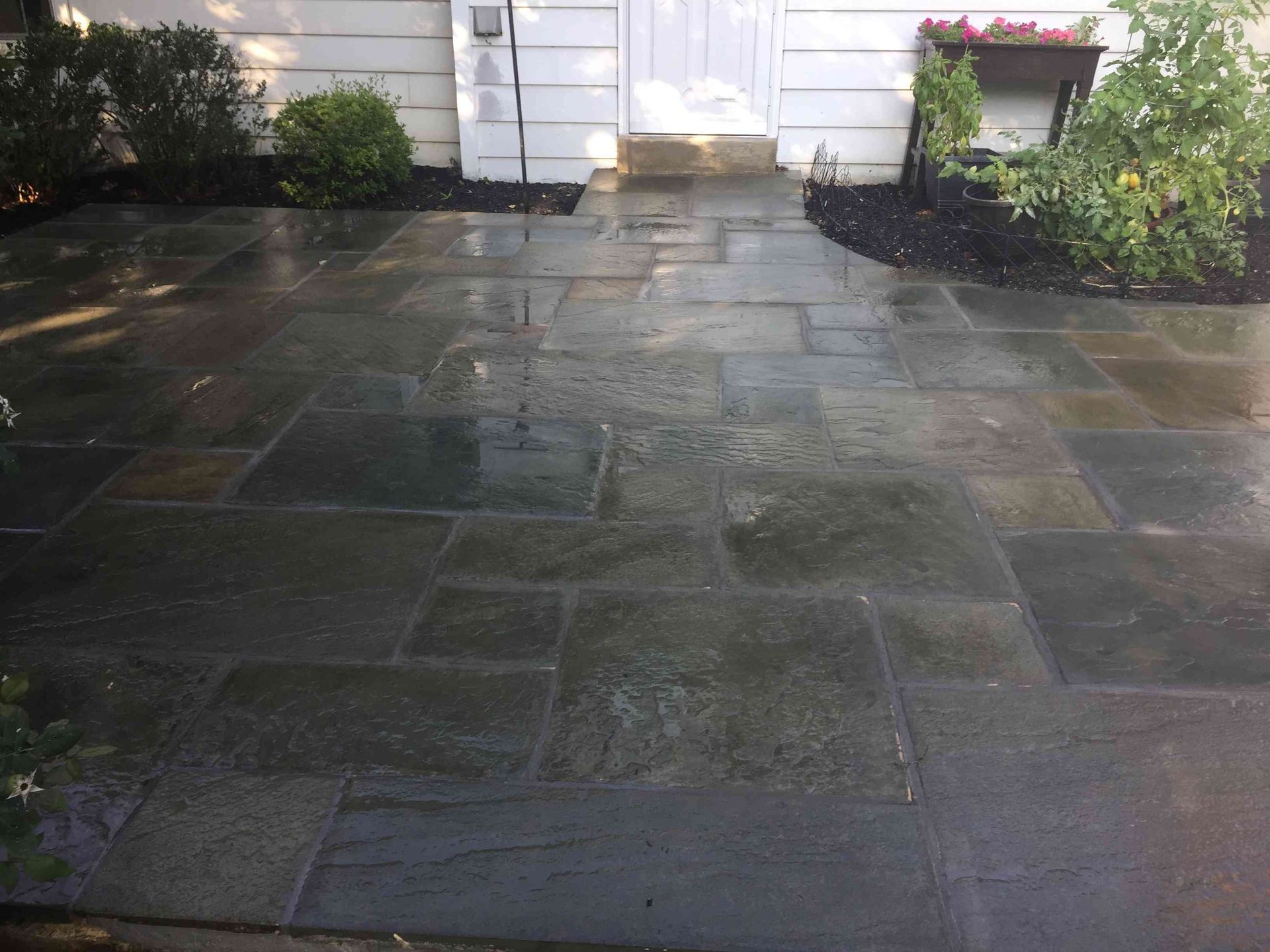 A stone patio made of irregularly shaped, dark-colored paving slabs leading toward a white house entrance.