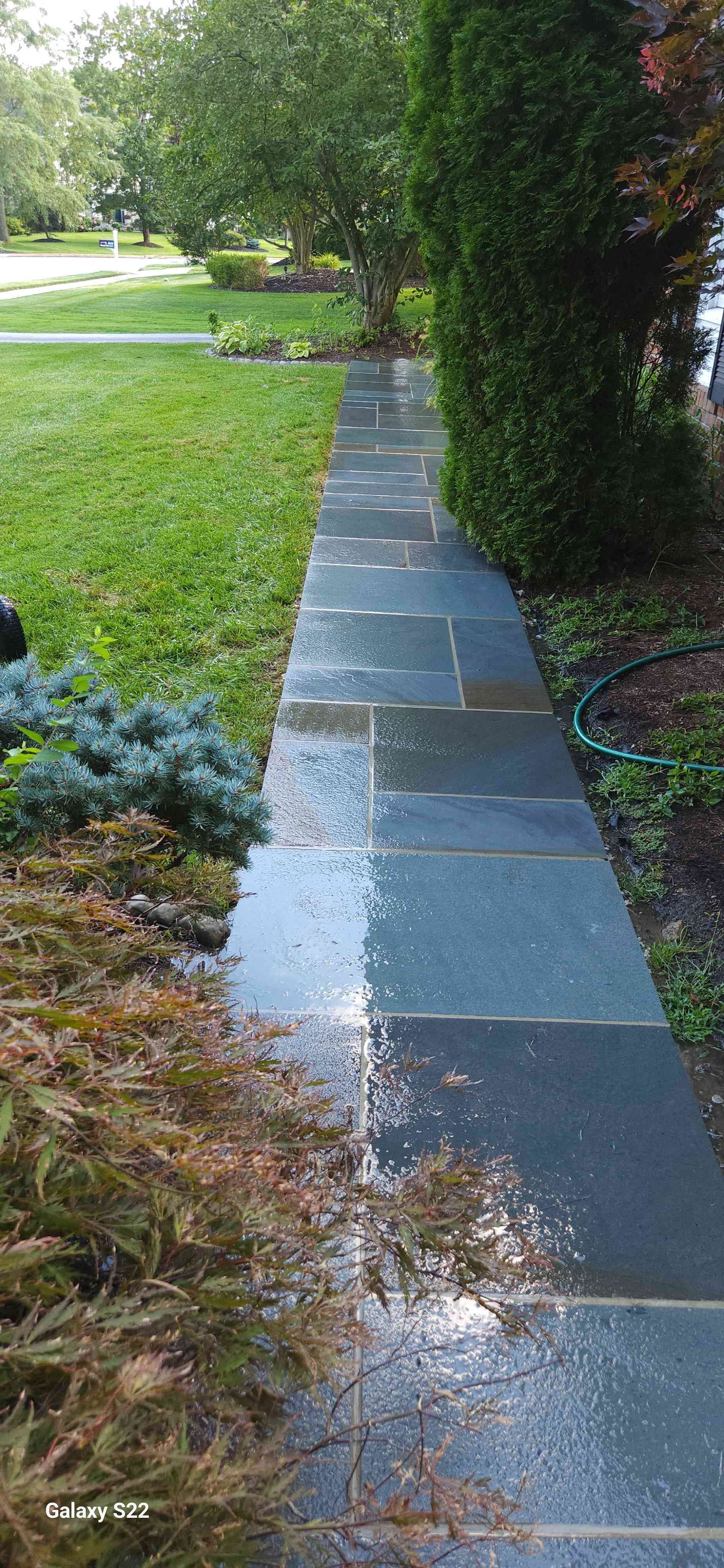 A stone walkway stretches through a grassy yard, with a tall hedge on the right and low shrubs on the left.