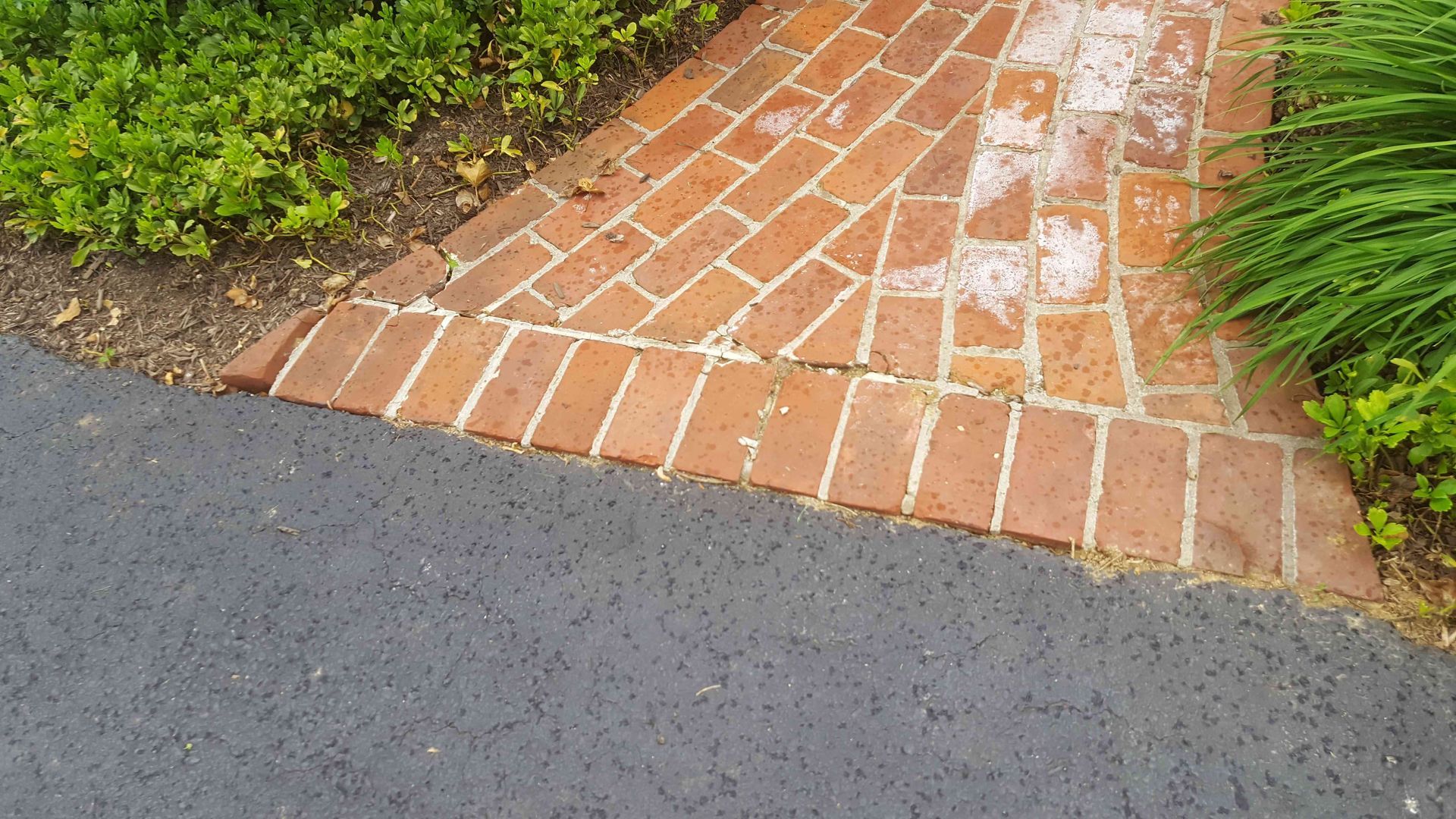 A brick walkway meets an asphalt path, surrounded by greenery and mulch.