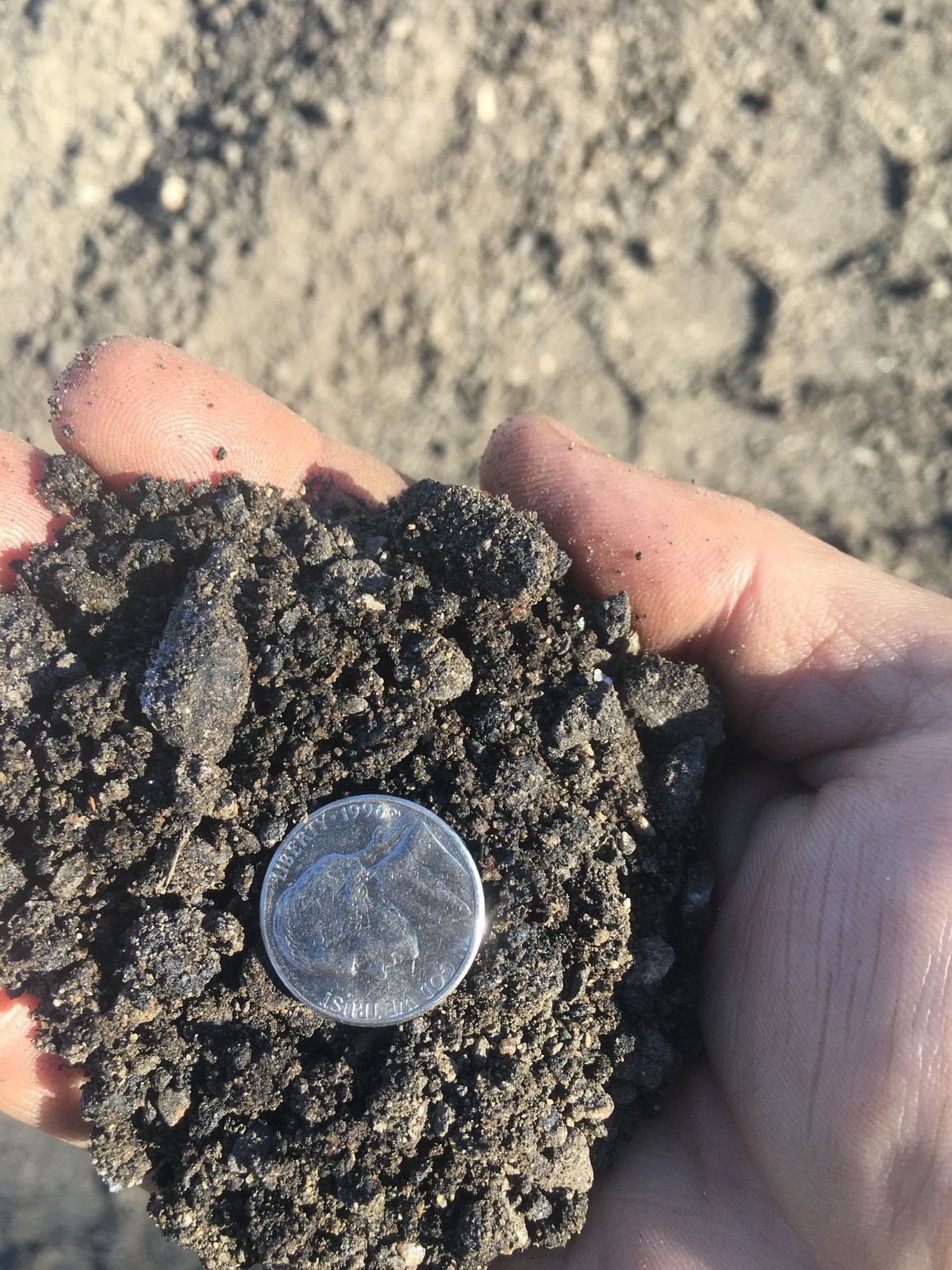 Hand holding a handful of dark soil and a quarter, with more soil in the background.