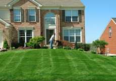House with a beautiful lawn