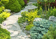 Garden with stone paved walkway