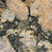 A close up of a rock with a lot of small stones on it.