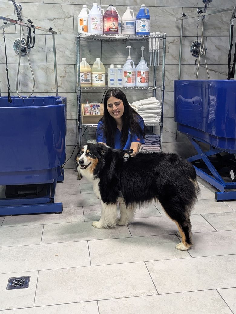 A woman is standing next to a dog in a grooming salon