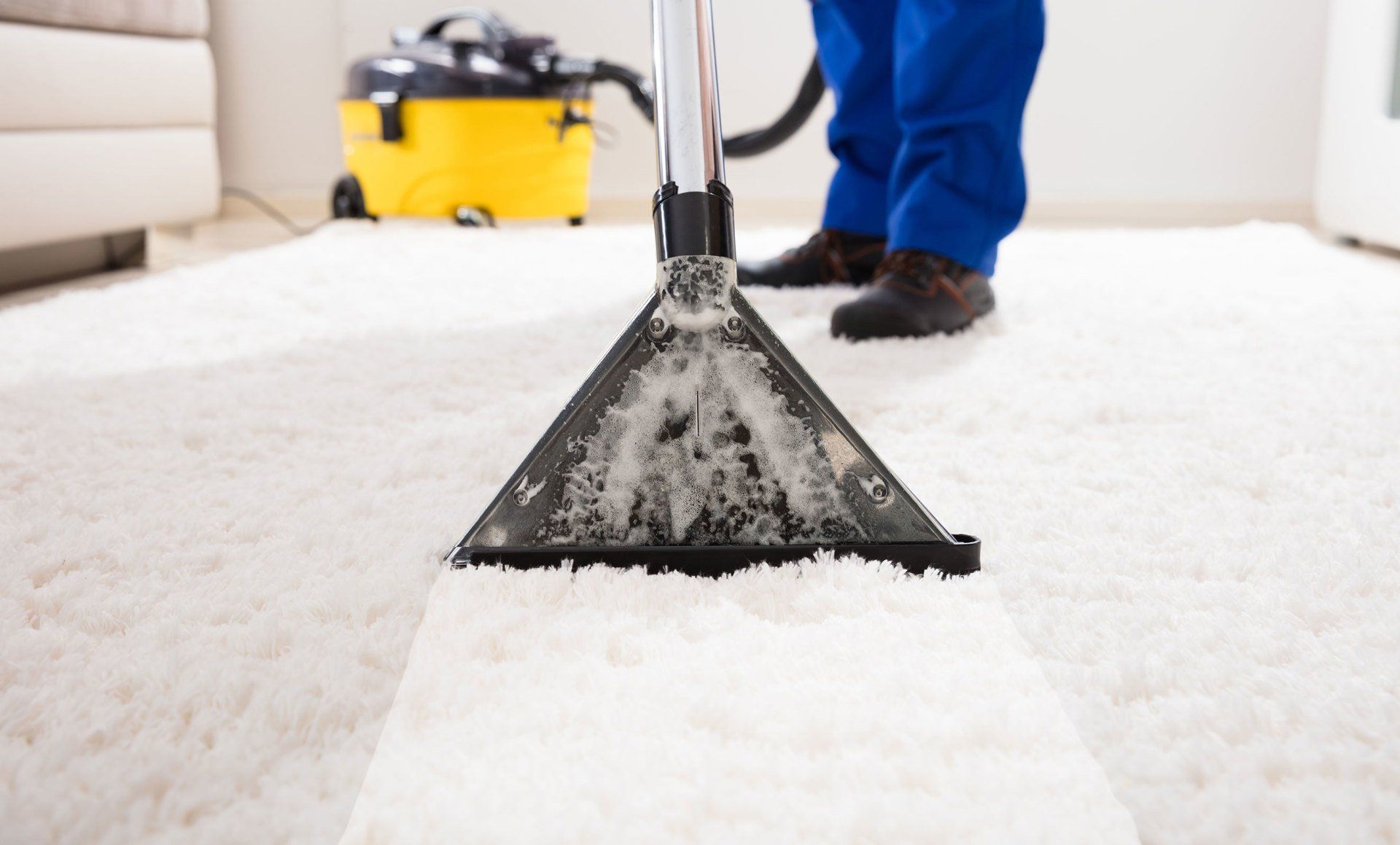 carpet cleaning