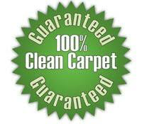 Guaranteed 100% Clean Carpet