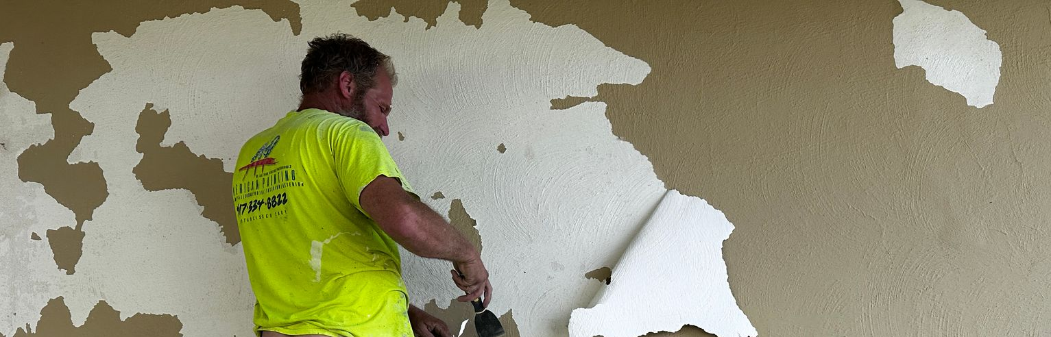 American Painting Inc