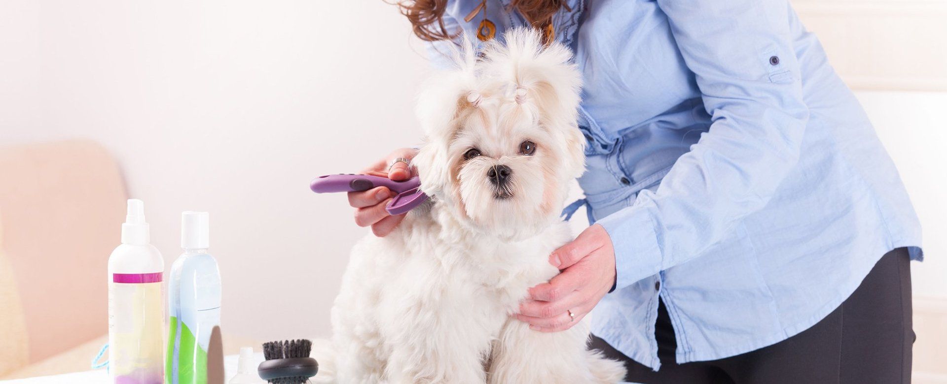 Bark Avenue Pet Salon Pet Grooming Derry, NH