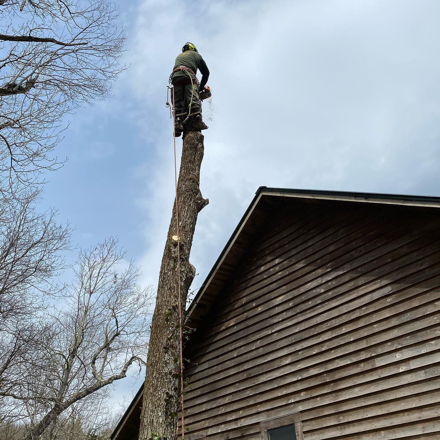 Person in safety gear cutting a tree trunk next to a wooden building. Cloudy sky.