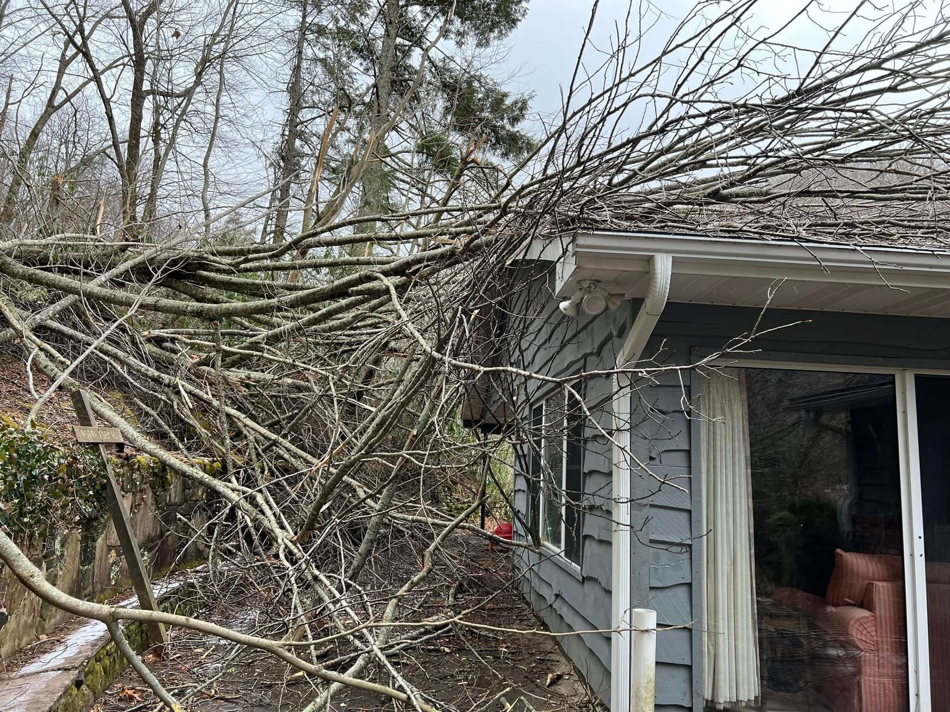 Branches from a bare tree rest on the roof and overhang of a blue-gray house with a white gutter.