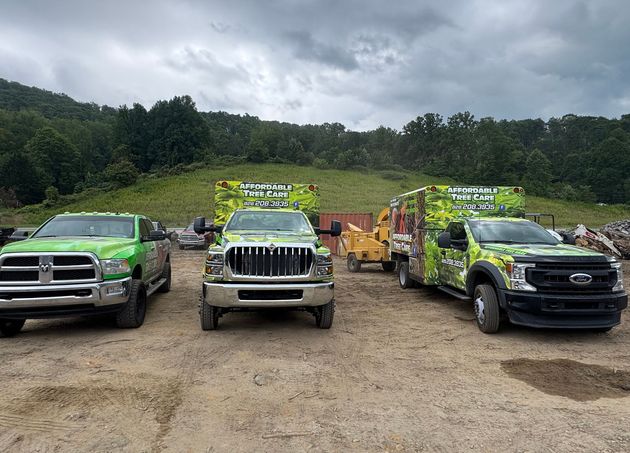 Three lime-green wrapped trucks parked on a dirt lot with a grassy hillside and cloudy sky in the background.