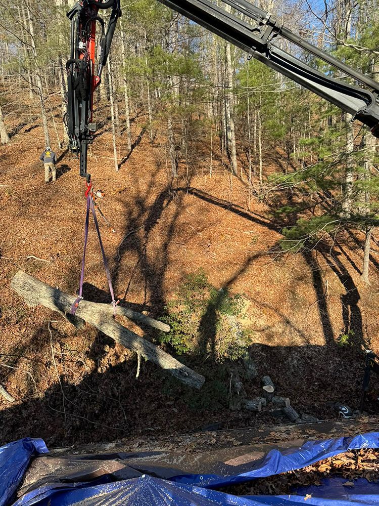A crane lifts a large, cut log suspended by purple straps over a wooded hillside.