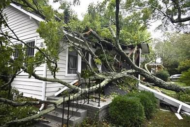 Tree branches fallen on a white house's porch roof, causing damage.