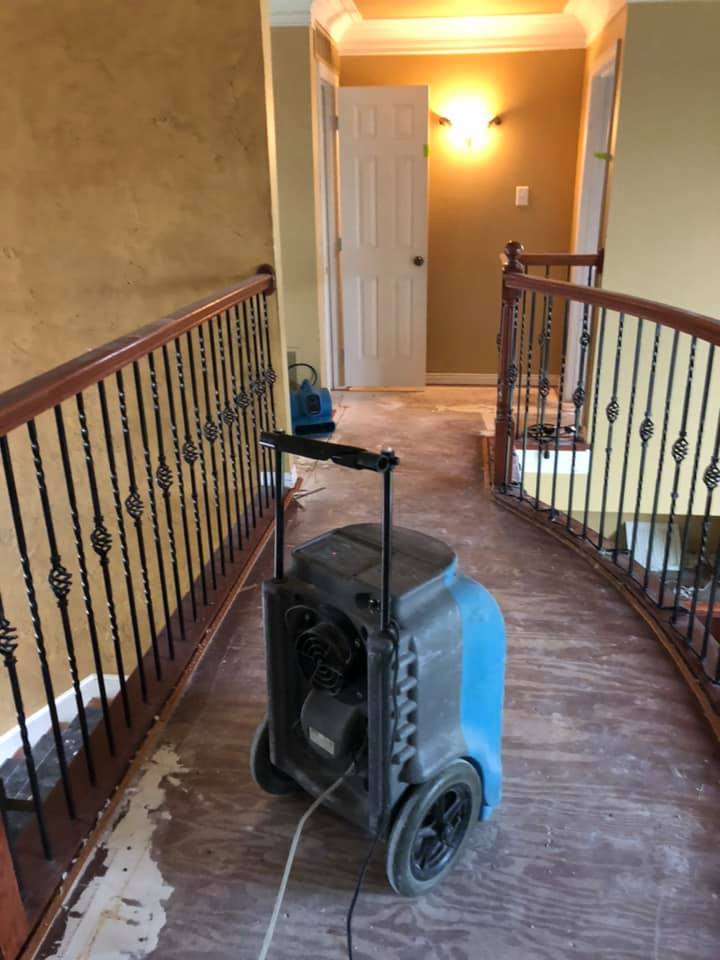 The Carpet Man Cleaning Company Forney, Wills Point and Canton, TX