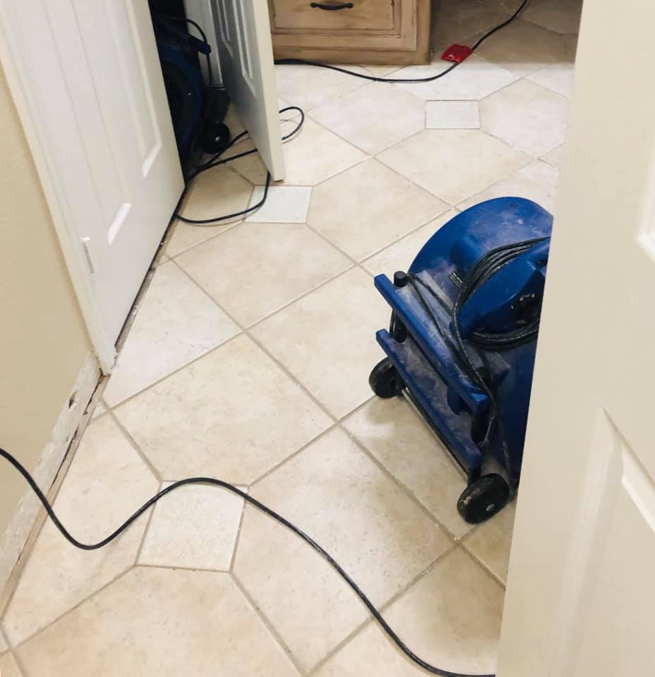 The Carpet Man Cleaning Company Forney, Wills Point and Canton, TX