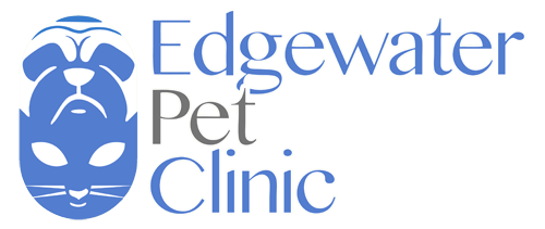 edgewater veterinary clinic