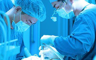 pet surgeons during operation