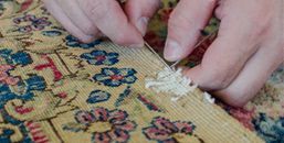 Albed Rug Company
